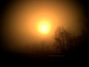 foggy-sunrise-evansville