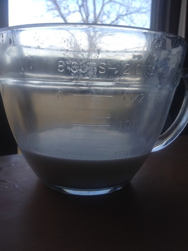 The saga of our milking goat's pregnancy... · Updates from Ryder Family
